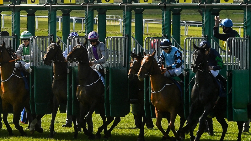 The Irish Flat season got underway at the Curragh