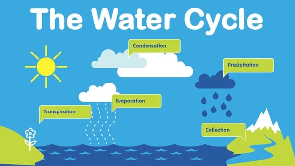 Let's learn about the water cycle