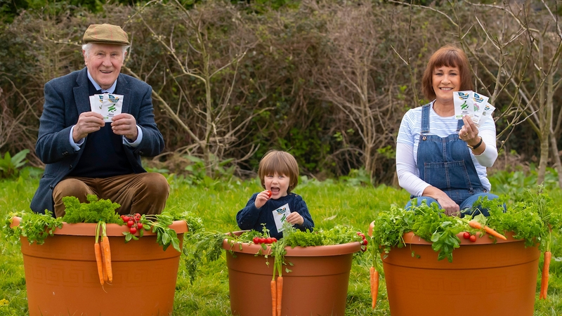 Harry Molloy along with his great-granddad Fintan Walsh and his granny Mary Molloy