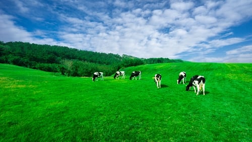 Farmers registered a -77 trust score