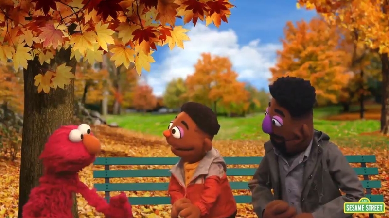 It comes as part of a new series of videos called the 'ABCs of Racial Literacy' (Image: Sesame Street)