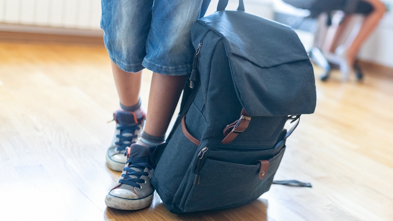 Almost half of all complaints (46%) received by the Ombudsman for Children last year related to education