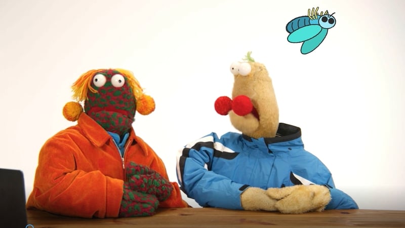 Zig & Zag