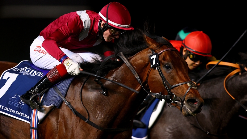 Money-spinner Mishriff has won over €13m in prize money