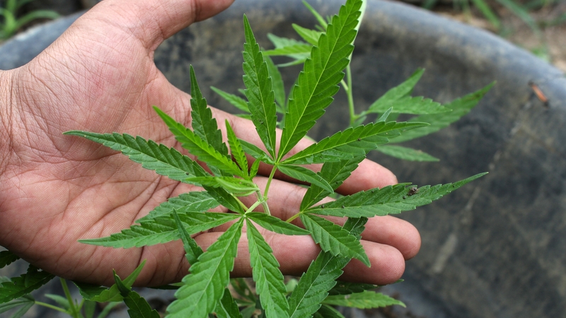 A statement said the change could net an additional $350 million in annual tax revenues (File photo)