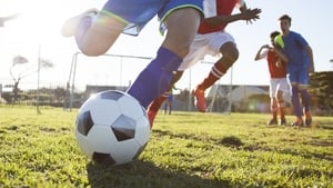 Mártan Ó Donnchadha, Teagascóir show image