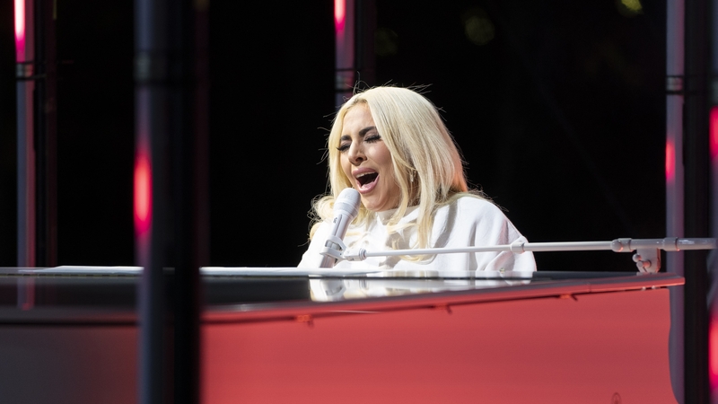 Lady Gaga's two French bulldogs which were stolen at gunpoint in Hollywood last month