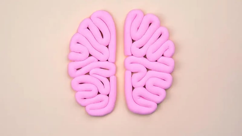 Author and brain expert Professor James Goodwin tells Liz Connor about a few simple lifestyle changes to help slow and even reverse cognitive decline.