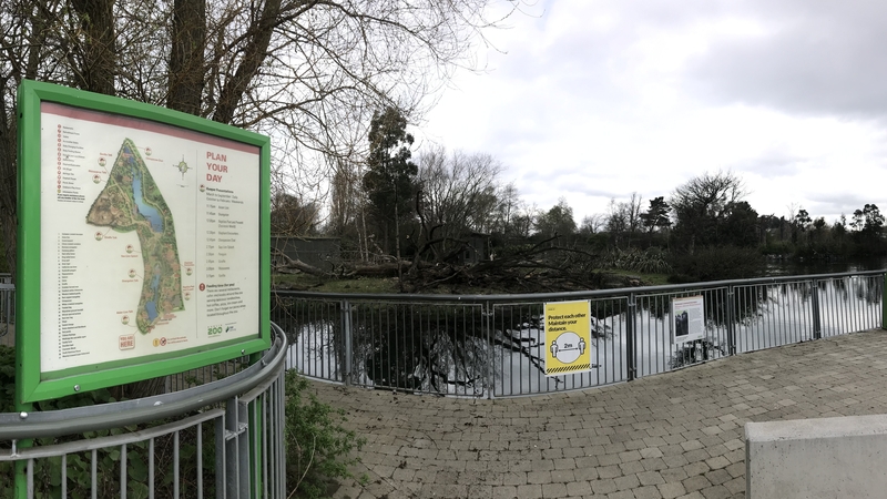 The Dáil heard that the hot tub and sauna were added when the zoo was appealing for public donations (file pic)