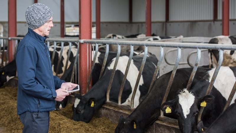 Tom Canning on his farm in Cavan
