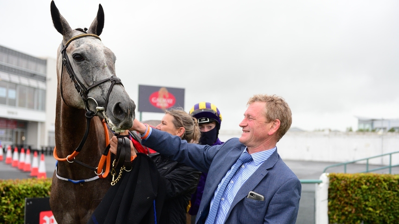 Princess Zoe won five of her seven starts for Tony Mullins last season