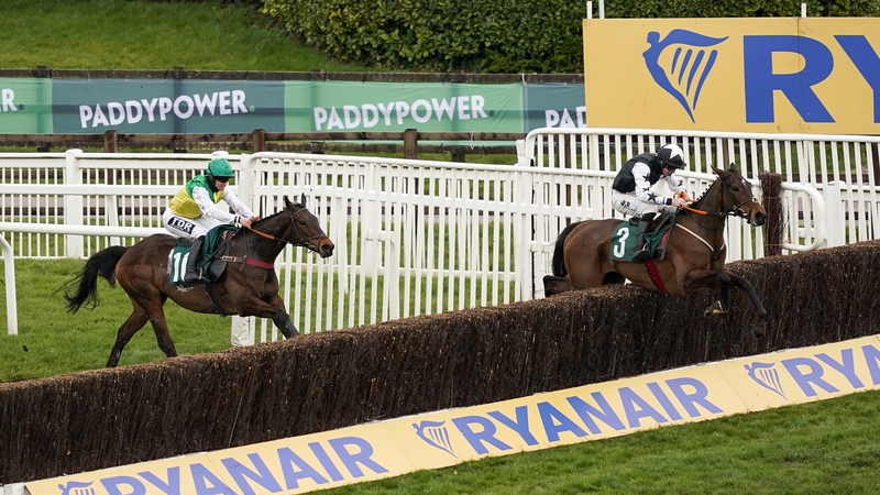 Mount Ida hit 1000 in-running before comfortably landing the Kim Muir at the Cheltenham Festival last month