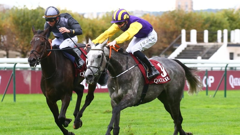 Princess Zoe scores under regular pilot Joey Sheridan in last year's race