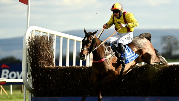 Freewheelin Dylan and Ricky Doyle jumps the last en route to victory