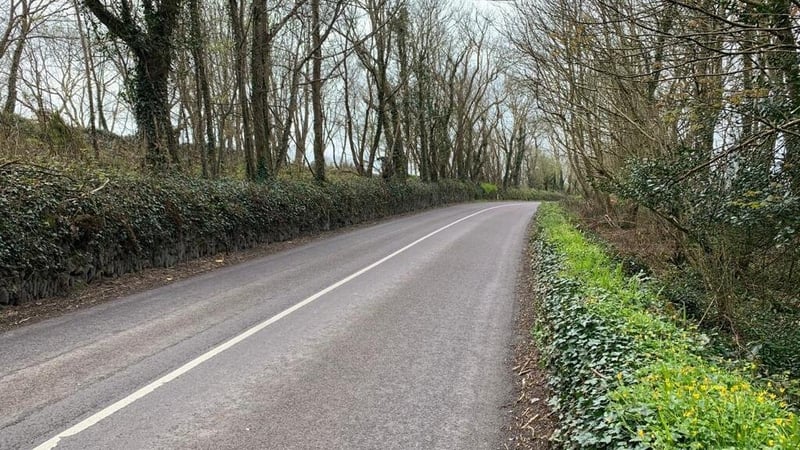 Garda was attempting to speak to the driver of the car when she was dragged along the road for around 30 metres