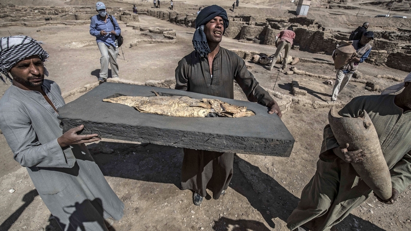 Workers carrying a fossilised fish uncovered at the archaeological site of a 3,000-year-old city