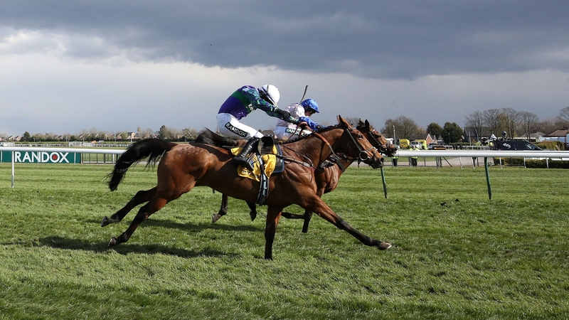 Thyme Hill (near side) got the better of Roksana on the run to the line