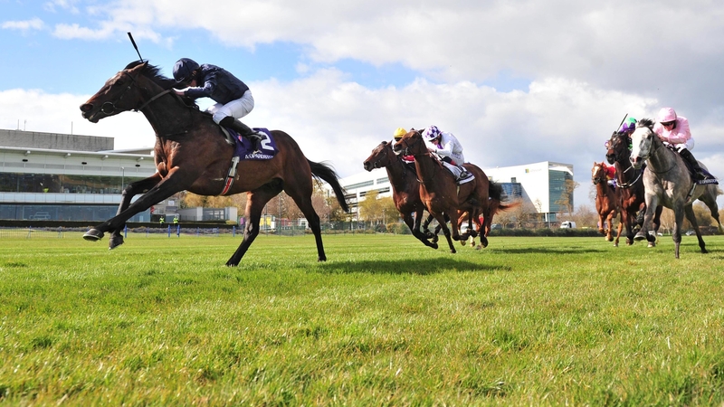 Bolshoi Ballet is as short as 8-1 for the Derby after his Leopardstown success