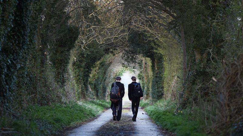 Brothers Cal and Sean McQuillan make their way to the school bus stop in Templepatrick