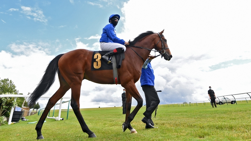 Master Of The Seas has won both of his outings at Newmarket
