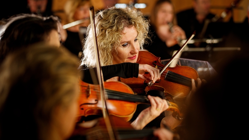 RTÉ Concert Orchestra