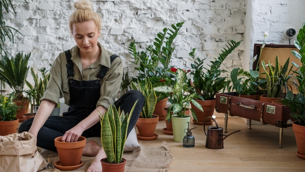 7 changes we can all make now for a greener tomorrow