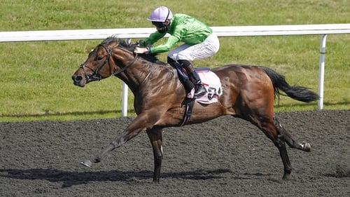 Uncle Bryn tackles turf for the first time on Tuesday after two convincing wins on Kempton's Polytrack and Wolverhampton's Tapeta surfaces