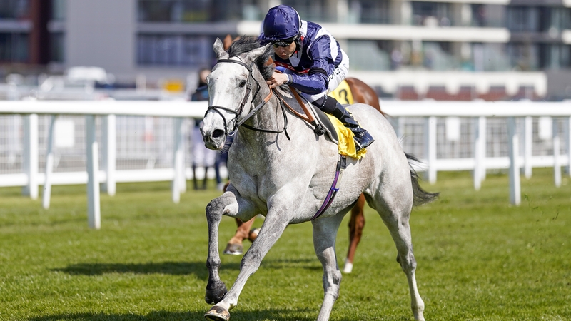 Snow Lantern is a daughter of Guineas winners Frankel and Sky Lantern