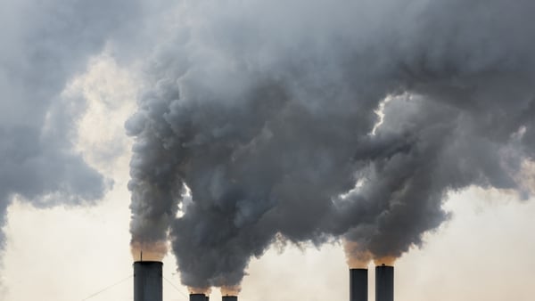 Only 29% of companies surveyed said they report on the impact of climate change in their financial statements
