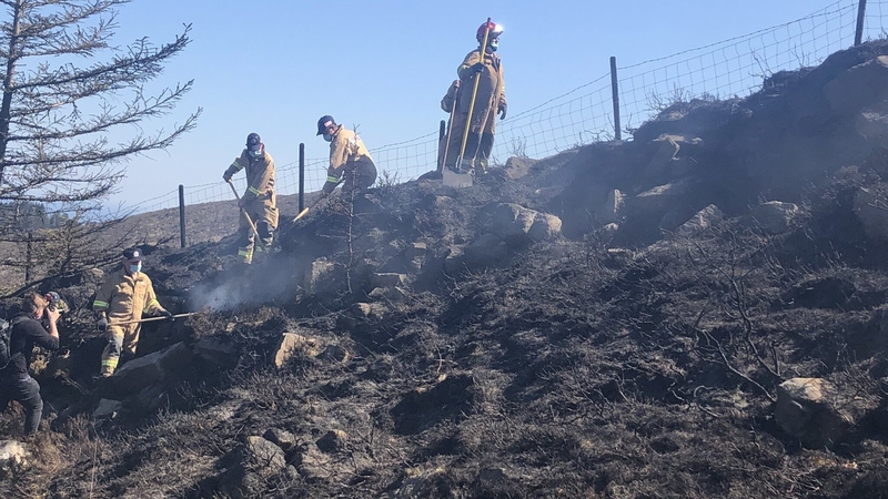 A number of gorse fires have occurred this year including in the Mourne Mountains in Co Down last month