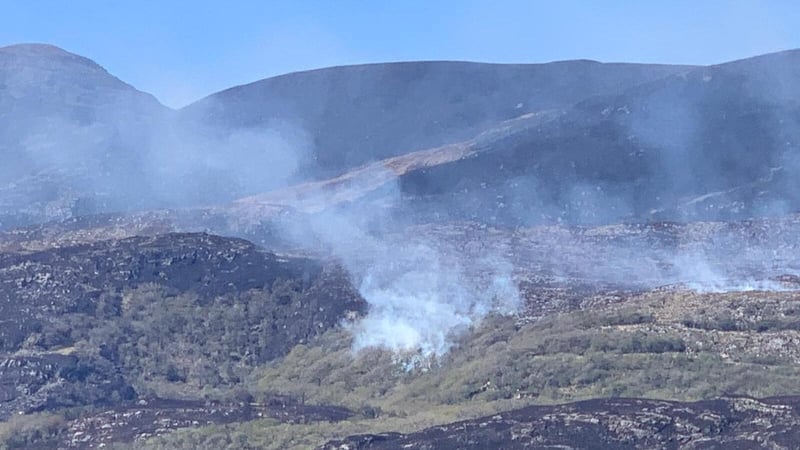 Smoke billowing from parkland in Killarney (pic: Cllr Patrick O'Connor-Scarteen)