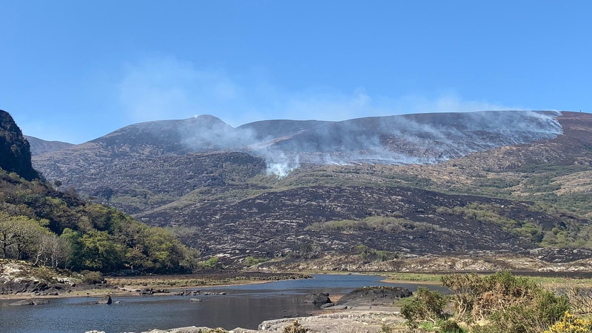 More than 2,000 hectares damaged by wildfire in Kerry