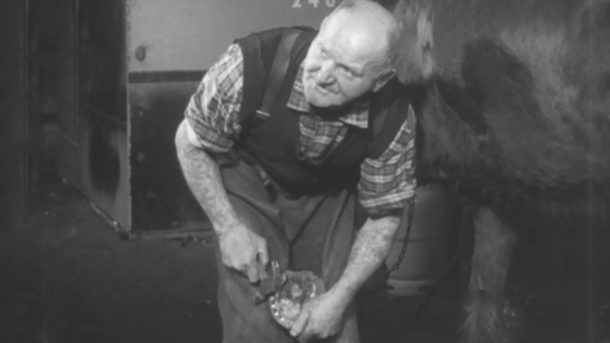 Farrier Dick McLaughlin, 1966