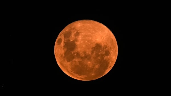 Everybody look at the moon!