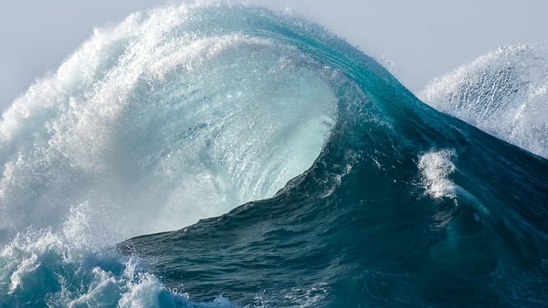 Watch: Meet this year's Ocean Heroes!