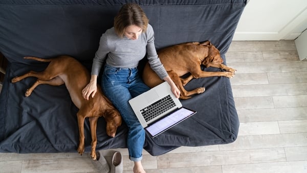 "Life has taught us that keeping family pets can have an incredibly positive impact on our lives." Photo: Getty Images