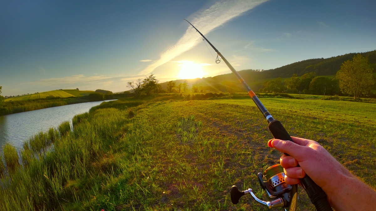 Professional Fishing Cheating Scandal