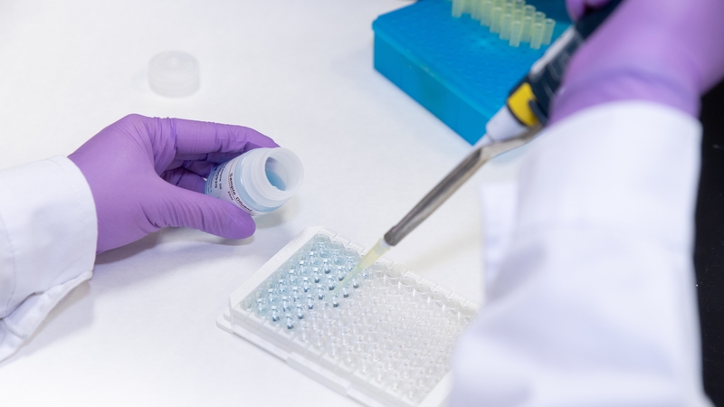 RocDoc is opening three new walk-in centres at Swords in Dublin, Shannon and Cork