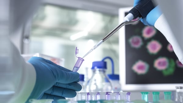 The infection was laboratory confirmed and the woman did not need hospitalisation