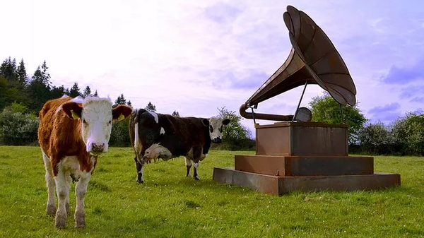 HearSay HomeFires - Limerick's international audio arts festival