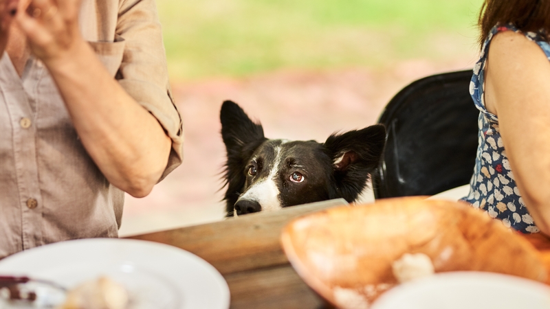 Three households, or a group of six people, will be permitted to meet outdoors