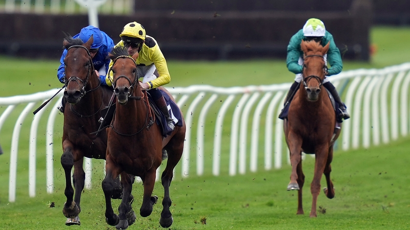 Third Realm is a general 10-1 shot for the Derby after his win at Lingfield