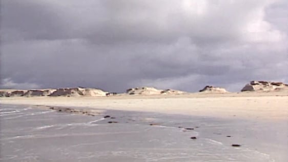 Dog's Bay Beach in Roundstone, Connemara, 1991
