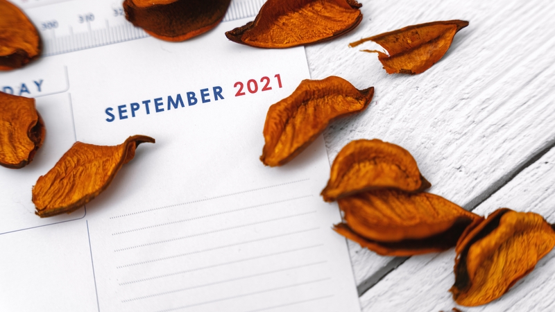 The ITIC has called for a one-off bank holiday in September in an effort to boost the economy, post Covid