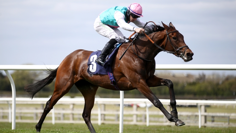 Noon Star made a striking impression on her seasonal reappearance at Wetherby