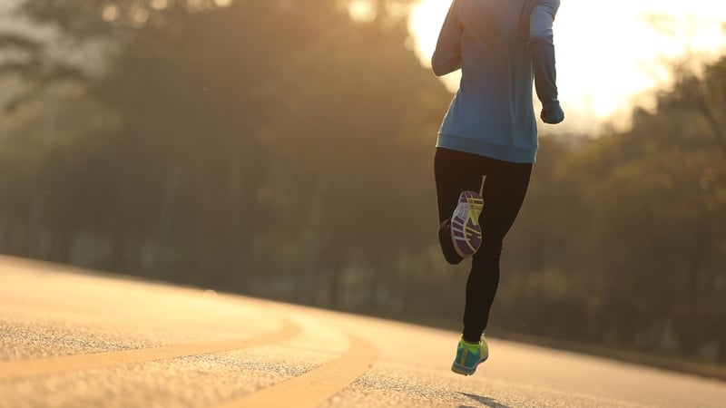 The fitness industry has expanded to include everything, from nutrition and supplements to apps and smart watches