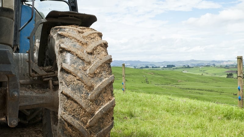 The CSO report shows an 11% increase in greenhouse gas emissions from the agriculture sector in the decade up to 2020 (stock image)