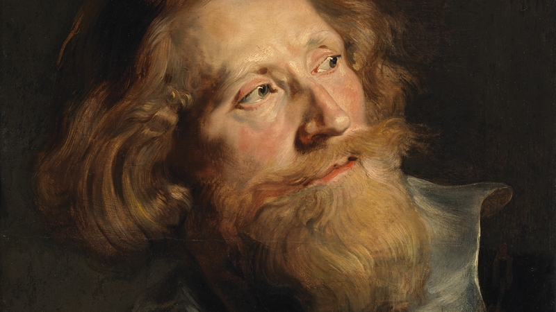 Peter Paul Rubens, detail from Head of a Bearded Man (1622-1624)