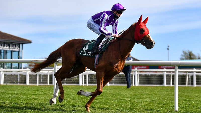 Emperor of the Sun defied the odds to win