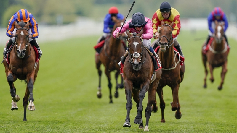 Spanish Mission will now for the Ascot Gold Cup